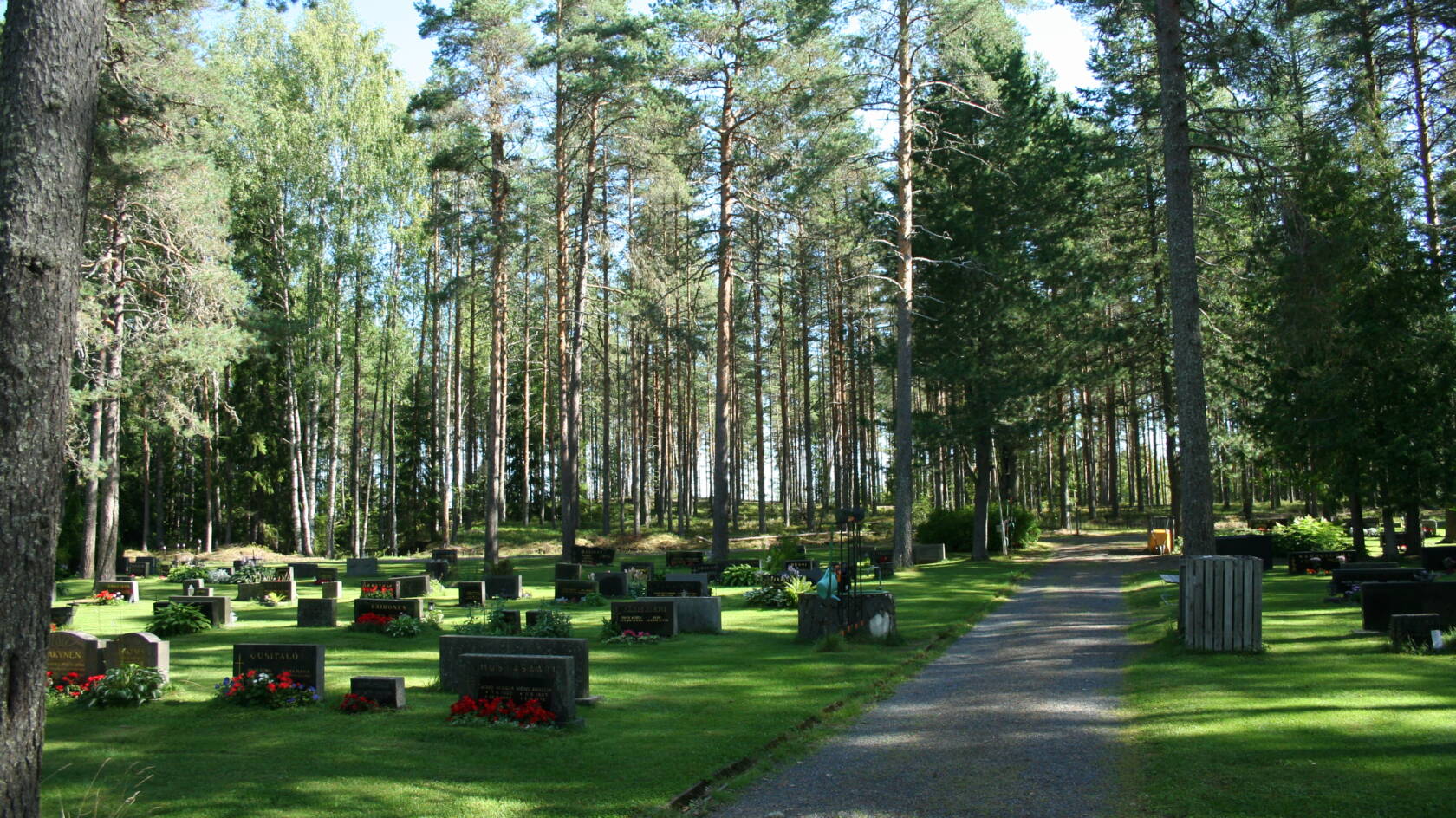 Hautakiviä nurmella, taustalla mäntyjä.